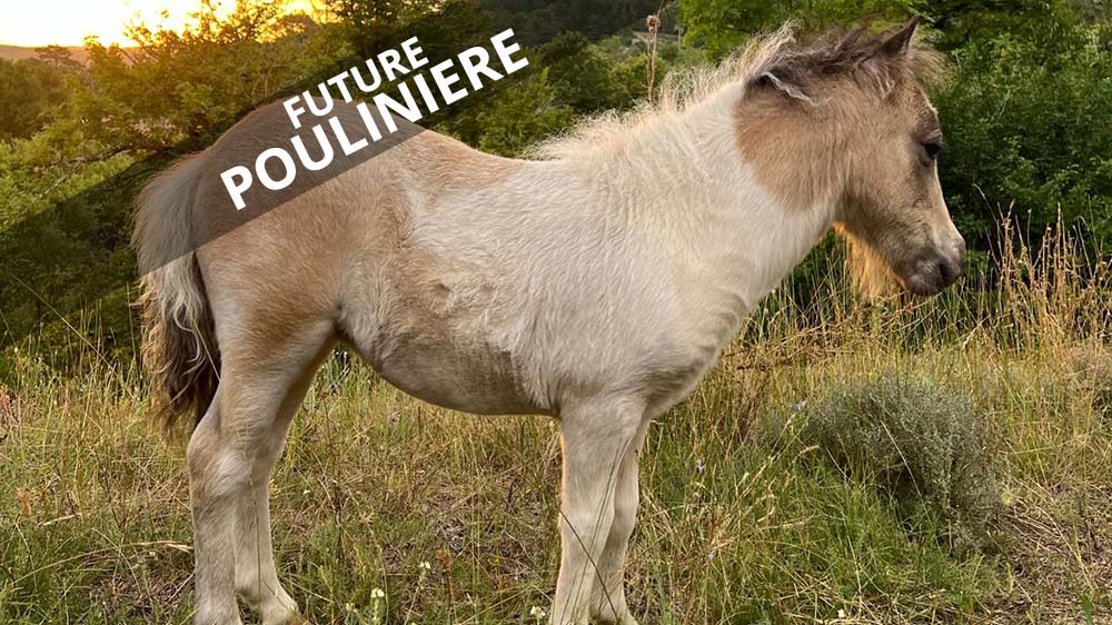 Ohana D&rsquo;Equi-Larzac