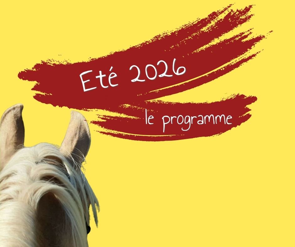 Programme Vacances ETE 2026