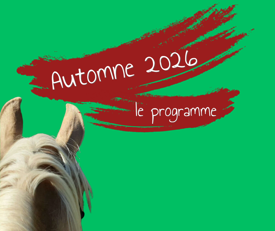 Programme Vacances Toussaint 2026